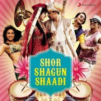 Say "Shava Shava" Sudesh Bhonsle,Alka Yagnik,Amitabh Bachchan,Sunidhi Chauhan,Udit Narayan Song Download Mp3