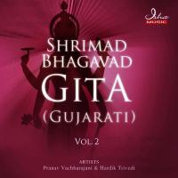 Shrimad Bhagavad Gita (Gujarati) - Chapter 11 Pranav Vachharajani,Hardik Trivedi Song Download Mp3