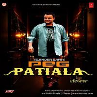 Saal Solwan Tejinder Sahi,Davinder Kaur Song Download Mp3