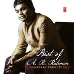 Nadaan Parindey A.R. Rahman,Mohit Chauhan Song Download Mp3