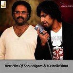 Dil Mera Sonu Nigam,Sunitha Bhopraj Song Download Mp3