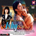 Tum Roothoge Jo Humse Kumar Sanu,Vijeta Shrivastava Song Download Mp3