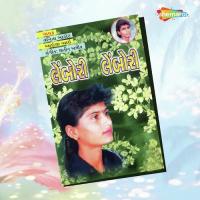 Aavo Mari Saiyar Vanita Barot,Bhaijee Bhai Song Download Mp3