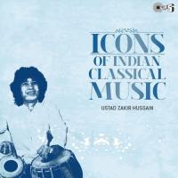 Chaturshri Ustad Zakir Hussain Song Download Mp3