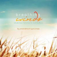 Instructions For Nadi Shodhana Pranayama Anandmurti Gurumaa Song Download Mp3