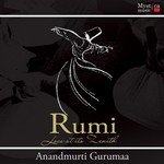 Iltaja Anandmurti Gurumaa Song Download Mp3