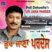 Tere Shehar Nu Salam Pali Detawalia Song Download Mp3