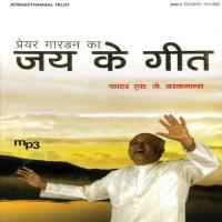 Jaise Mata Sambhalthi Various Artists Song Download Mp3