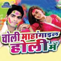 Ye Fagun Mahina Manti Morya,Sheru Singh Song Download Mp3