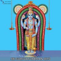 Krishna Krishna (From "Sri Krishna Maduryam") Samyuktha Song Download Mp3