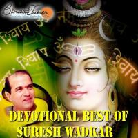 Bhole Teri Leela Suresh Wadkar Song Download Mp3