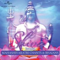 Om Namah Shivaya, Rudrashtakam, Maha Mrityunjaya Mantra Vijay Prakash Song Download Mp3