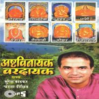 Aalo Aamhi Sare Tujhala Sharan Deva Ranjangavi (RanjanGav) Suresh Wadkar,Chandana Dixit Song Download Mp3