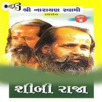 Ye Satguru Ka Sthan Shree Narayan Swami Song Download Mp3