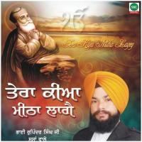 Koi Nau Na Jaane Mera Bhai Rupinder Singh Song Download Mp3