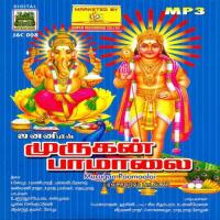 Shankara Shankara Sundararajan Song Download Mp3