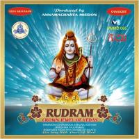 Rudram (Namakam) Kamisetty Srinivasulu Song Download Mp3