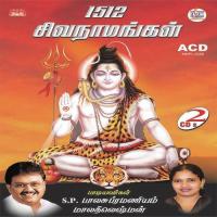 Om Nama Sivaya - 1 S.P. Balasubrahmanyam,Malathi Lakshmanan Song Download Mp3