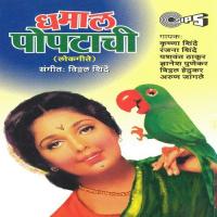 Maina Jevah Vayat Aali Baghun Popat Vedich Jhali Anand Shinde Song Download Mp3