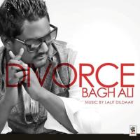 Wasde Ujadeya Bagh Ali Song Download Mp3