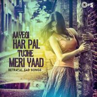 O Sahiba O Sahiba (From "Dil Hai Tumhaara") Kavita Krishnamurthy,Sonu Nigam Song Download Mp3