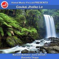 Gaukai Jhalko Le Naresh Bohara,Juna Shrish & Basanta Thapa Song Download Mp3