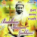 Buddh Hai Buddh Hai Pdk Song Download Mp3