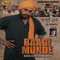 Dil Hi Laila Babu Chandigarhiya,Sudesh Kumari Song Download Mp3