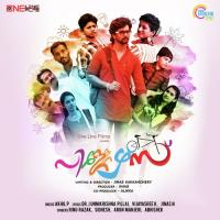 Ee Nilavin Rinu Razak,Sidhesh Song Download Mp3