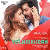 Iraiva (From "Velaikkaran") Anirudh Ravichander,Jonita Gandhi,Anirudh Ravichander & Jonita Gandhi Song Download Mp3