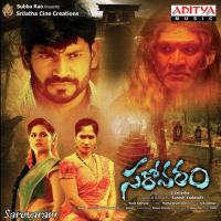 Amrutham Kurisina Vedala Hemachandra,Harini Song Download Mp3