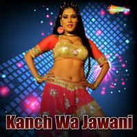 Kaha Chupawe Hamro Rahul Baba Song Download Mp3