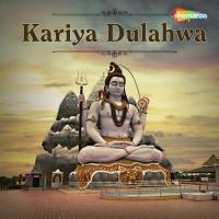 Saiya Jaeb Baba Dham Shambhu Bihari Song Download Mp3