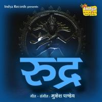 Yehi Saliye Sadi Humro Zia Pandey Song Download Mp3