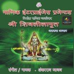 Om Namah Shivaya (Aarti) Shankarrao Jadhav Song Download Mp3