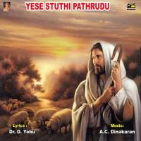 Nee Hrudayapu Kotha Ramu Song Download Mp3