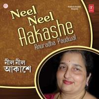 Nil Nil Aakashe Anuradha Paudwal Song Download Mp3