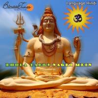 Om Jai Shiri Shiv Daya Chand Delhi Waale Song Download Mp3