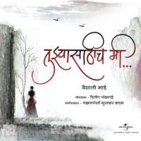 Nustyach Tujya Hasanyane Vaishali Made Song Download Mp3