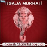 Aadi Vandhithane (From "Ganesha Seva") Sheela Divakar,K. Muralidhar Udupi Song Download Mp3