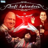 Qalander Laal Sohna (From "Kalaam-E-Sufi Vol. 1") Abida Parveen Song Download Mp3