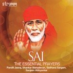 Shri Sadguru Baba Sai Sanjeev Abhyankar Song Download Mp3