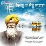 Bighan Na Kou Laagta Bhai Nirmal Singh Ji Khalsa Song Download Mp3