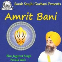 Moko To Bharoso Bhai Jagpreet Singh Ji Patiale Wale Song Download Mp3