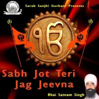 Har Aaradha Na Jana Rey Bhai Satnam Singh Song Download Mp3