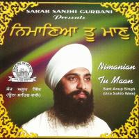 Merey Sahiba Terey Choj Sant Anup Singh Ji (Una Sahib Wale) Song Download Mp3