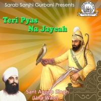 Eh Mann Pyareya Tu Sada Sant Anup Singh Ji (Una Sahib Wale) Song Download Mp3