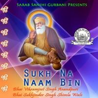 Sukh Na Naam Bin Bhai Vikramjeet Singh Anandpuri,Bhai Sukhjinder Singh Shimla Wale Song Download Mp3