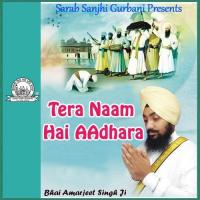 Mera Pyara Pritam Satgur Bhai Amarjeet Singh Song Download Mp3