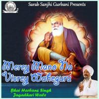 Jey Milna Kalgian Wale Nu Bhai Harbans Singh Jagadhari Wale Song Download Mp3